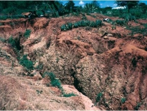 carcavas producidas por erosion